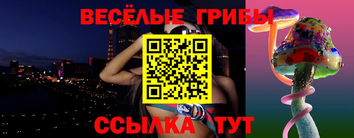 Щёлково  Псилоцибиновые грибы Psilocybe  где купить наркоту  Вход с VPN 